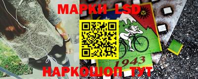 ешки Обнинск