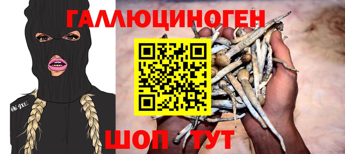 Галлюциногенные грибы прущие грибы Серпухов