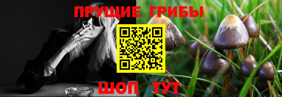 Серпухов  Галлюциногенные грибы мицелий  Вход с VPN 